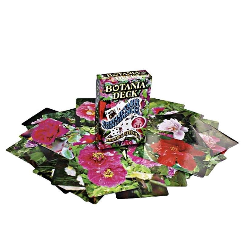 Jeu Rainbow Standard (Botania Deck)