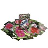 Jeu Rainbow Standard (Botania Deck)