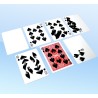 SET CARTES GAFF 10 ♠️