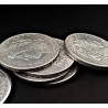 SET SHADOW COINS LUXE - MORGAN DOLLAR