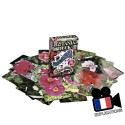 Jeu Rainbow Standard (Botania Deck)