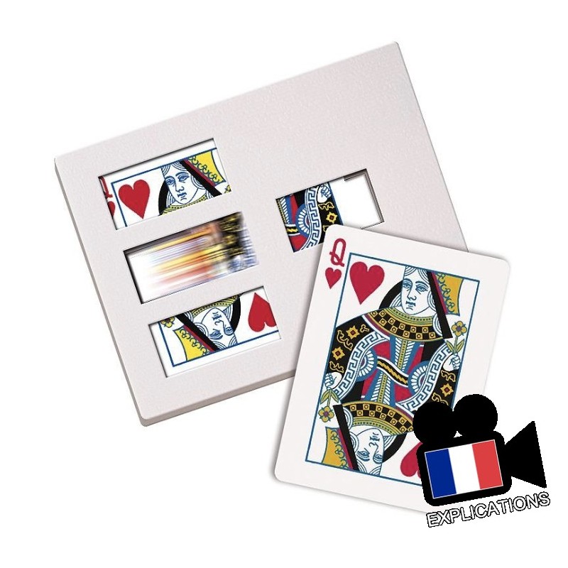 ZIG ZAG CARD (BICYCLE)
