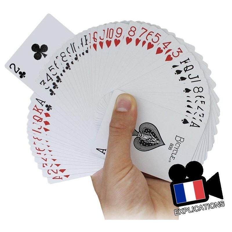 BLANK FAN DECK - Qualité Bicycle